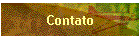 Contato