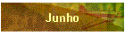 Junho